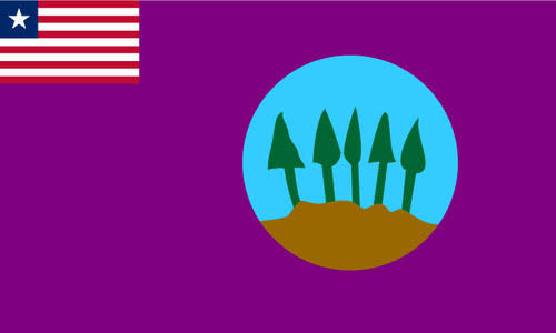 Bomi County flag