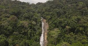 Gbarpolu Forest Country