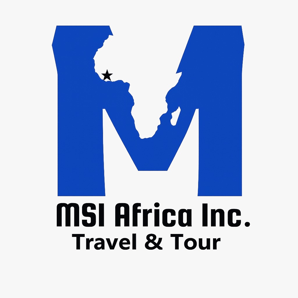 Multi Stream Initiative (MSI) Africa, Inc. logo